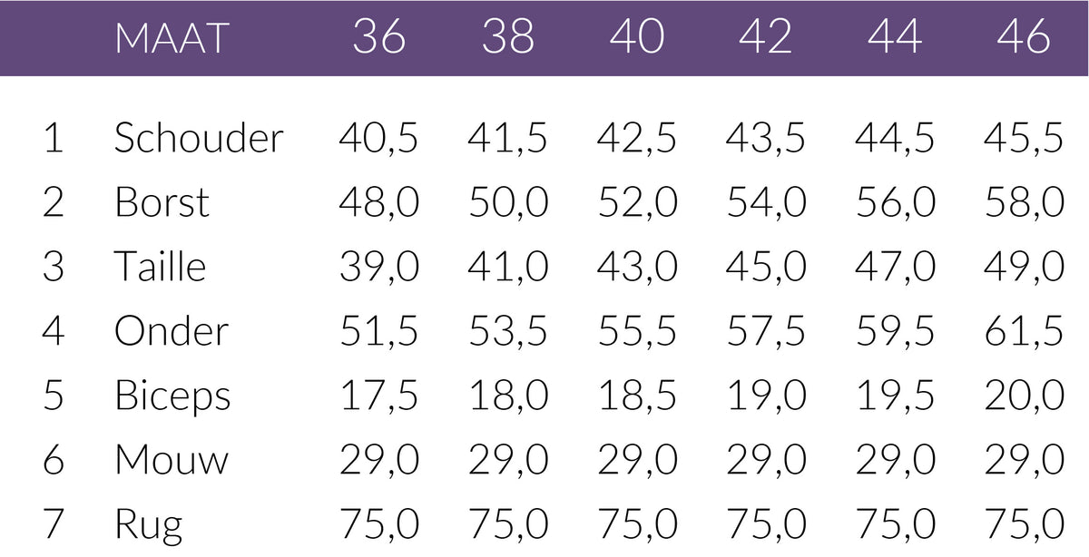 Maattabel Longlady Blouse Daan Offwhite | Tall